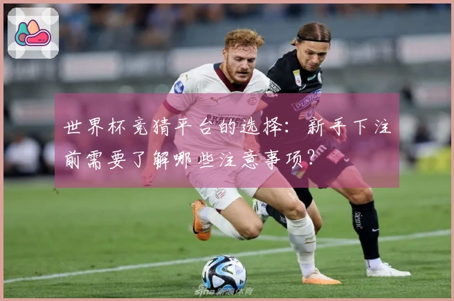 世界杯竞猜平台的选择：新手下注前需要了解哪些注意事项？