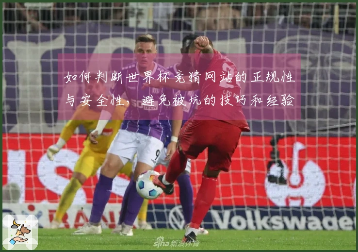 如何判断世界杯竞猜网站的正规性与安全性，避免被坑的技巧和经验分享