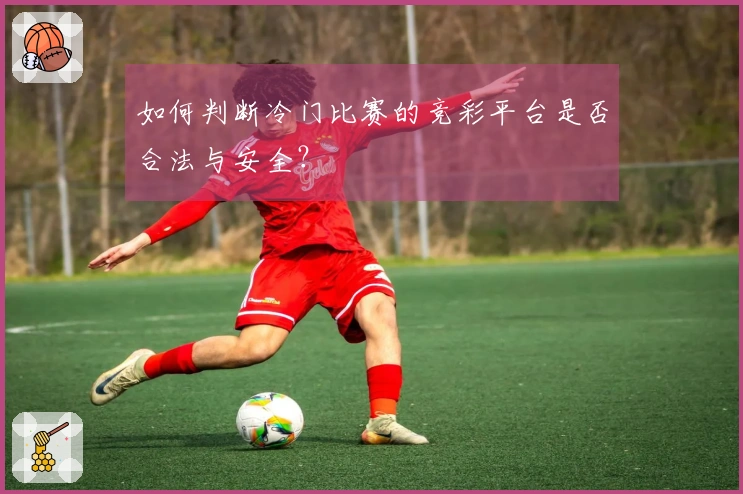 如何判断冷门比赛的竞彩平台是否合法与安全？