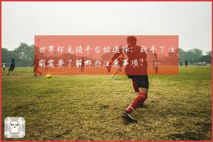 世界杯竞猜平台的选择：新手下注前需要了解哪些注意事项？