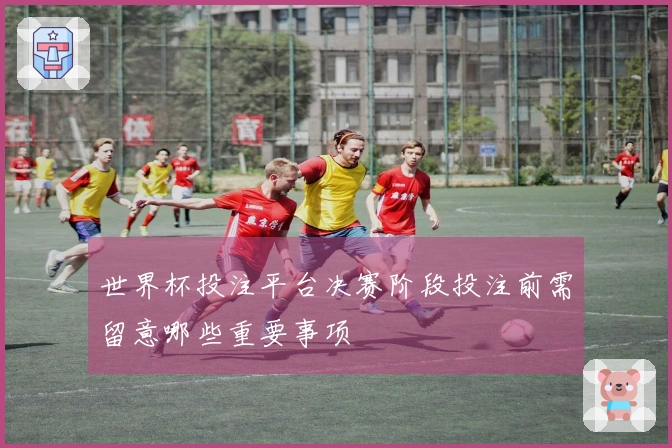 世界杯投注平台决赛阶段投注前需留意哪些重要事项