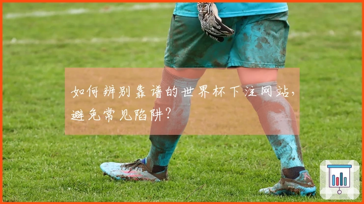 如何辨别靠谱的世界杯下注网站，避免常见陷阱？